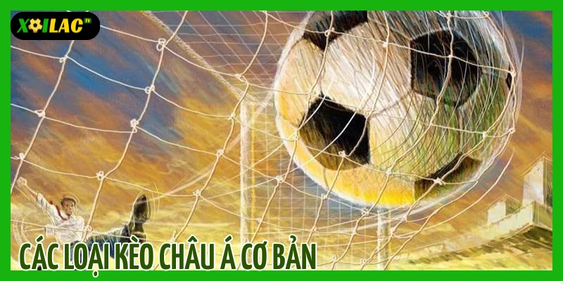 Kèo Châu Á Là Gì? - Hướng Dẫn Toàn Diện từ Cơ Bản đến Nâng Cao 2 Các loại kèo châu Á cơ bản người chơi cần biết